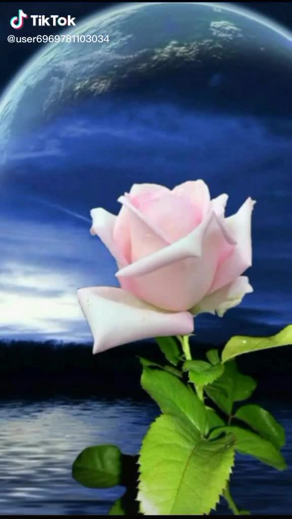@@user8128649507725