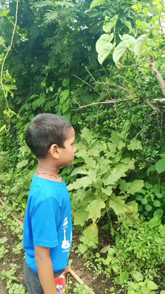 @Sujata Pradhan