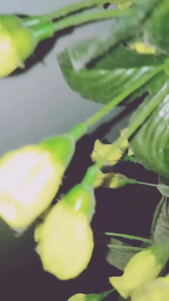 @•MAHI•