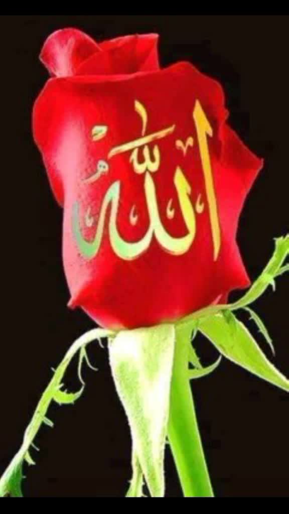 @Md Nesar