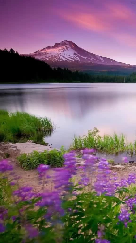 @IBRAHIM1221