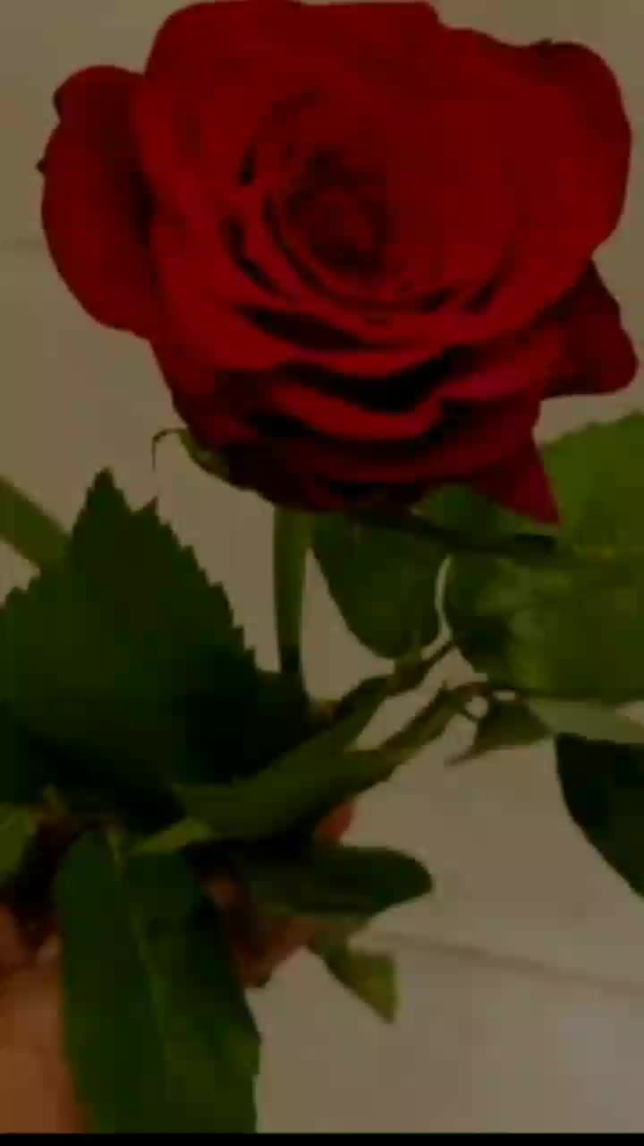 @🌷Mahir❤shama🌷