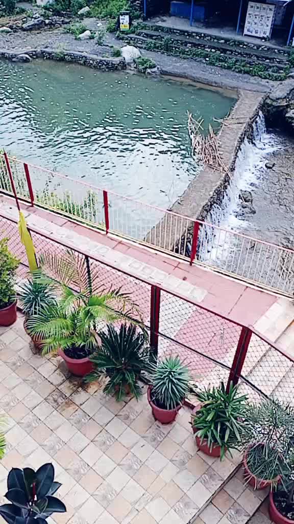@Sheela Panwar
