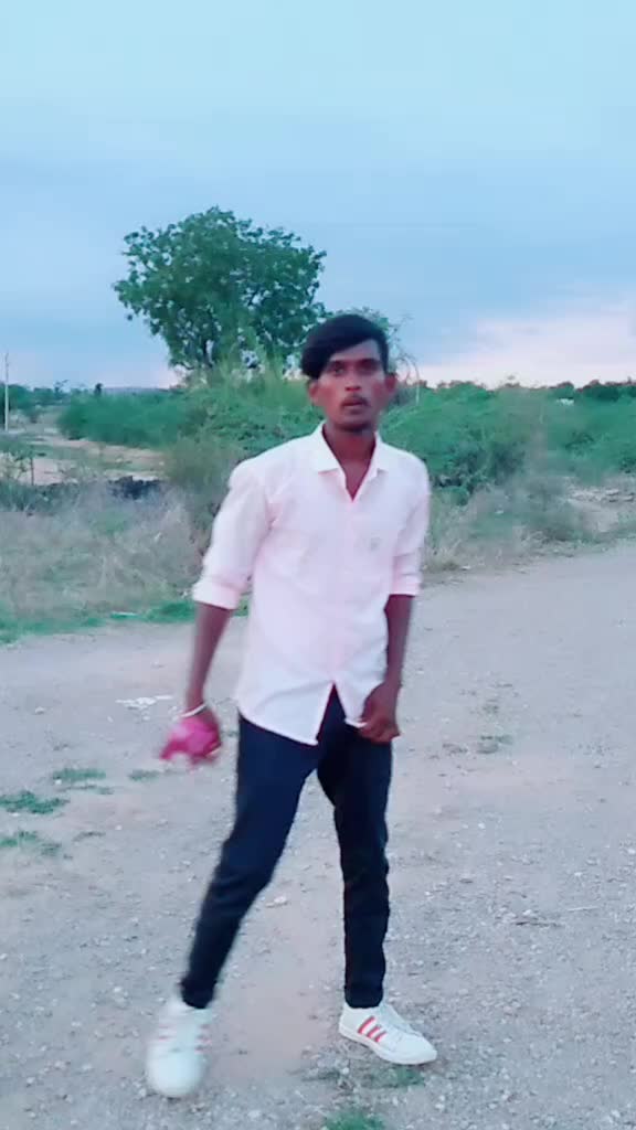 @bollepoguirmiya831