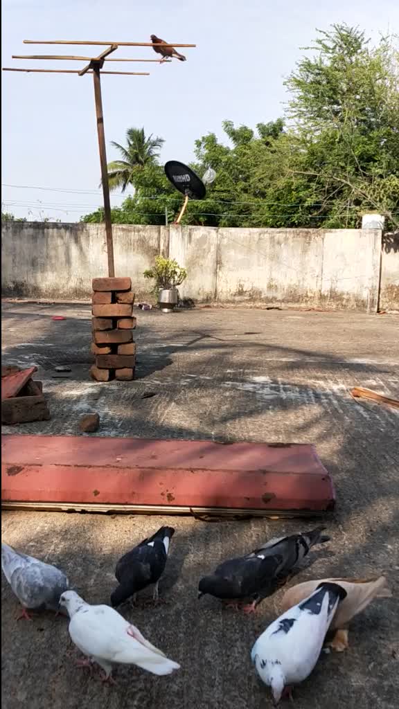 @vasanth raj 1228