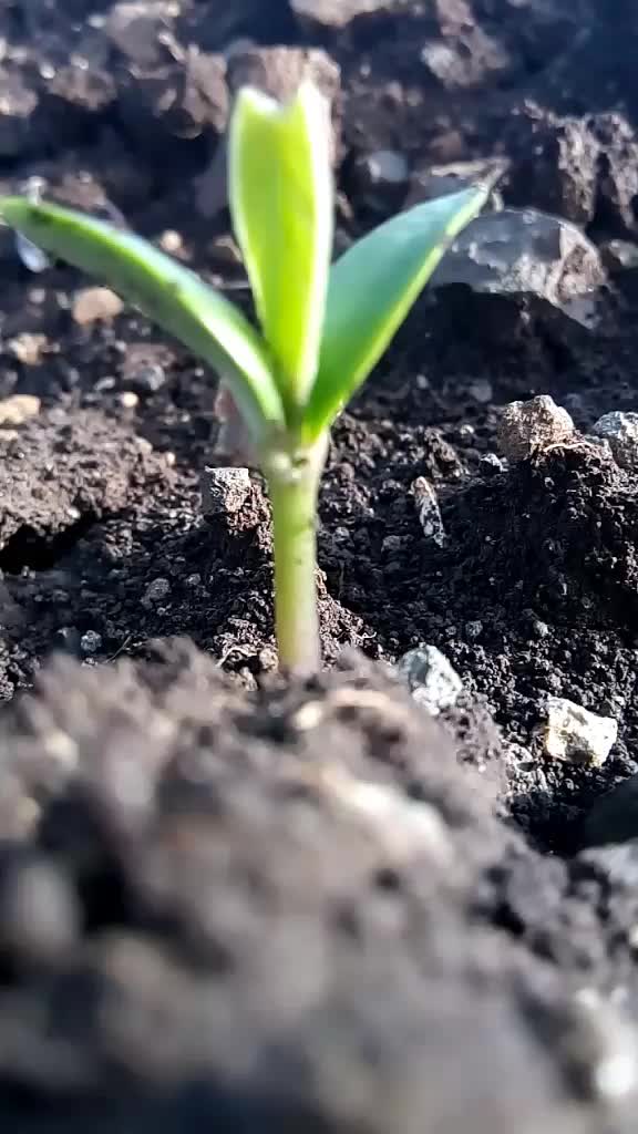 @Mr.Vaibhav gaikwad