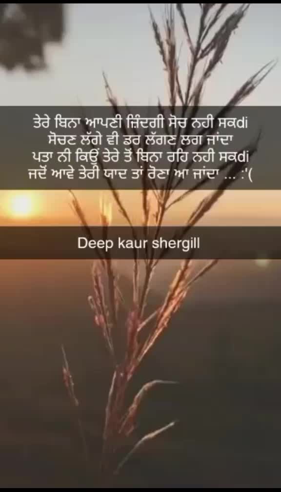 @TaQDeeR0507(FiRdAuS)