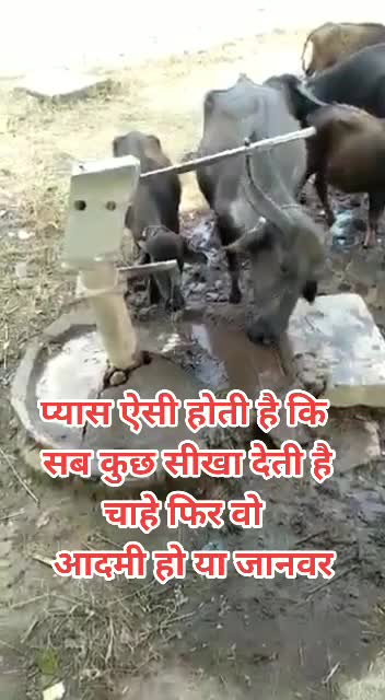 @PR_Prabhat