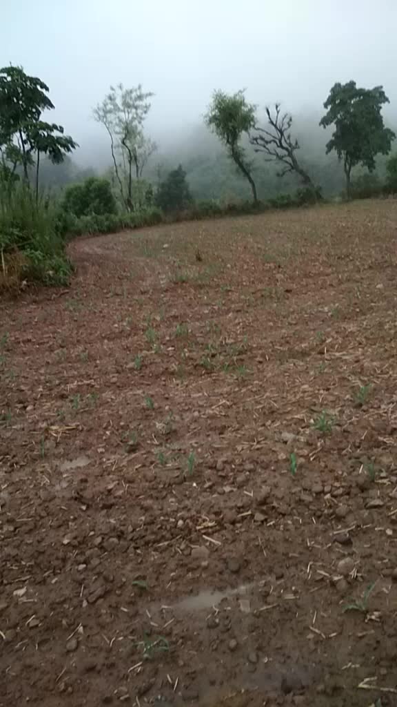 @Mintu Singh✔️✔️