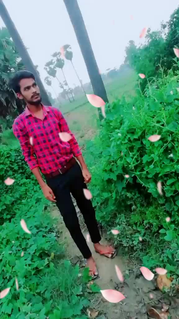 @naushad hussain