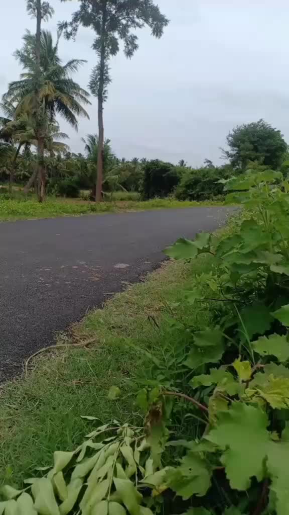 @Rx sunil