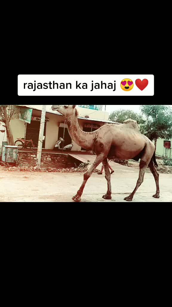 @Vaibhav Shrivastava
