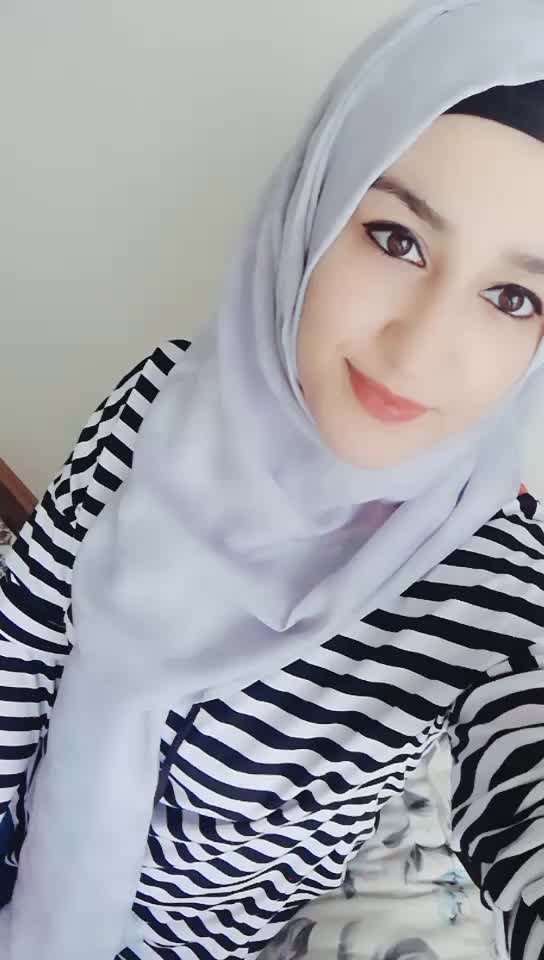 @baharucar1711