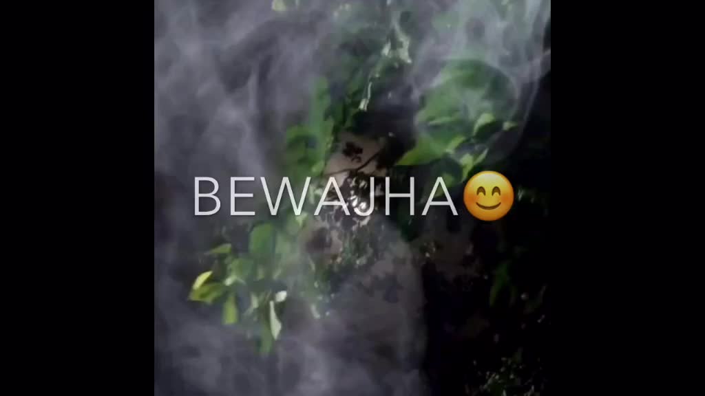 @Dj shashikant🎧