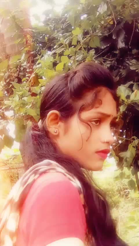 @user5221203137837