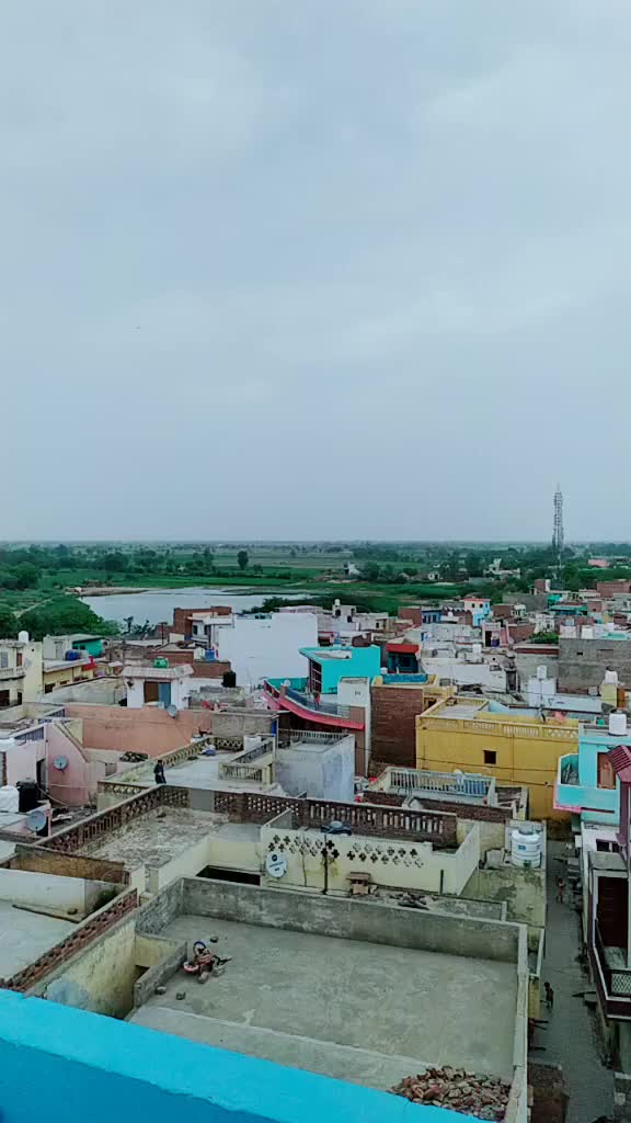 @lav bhargava