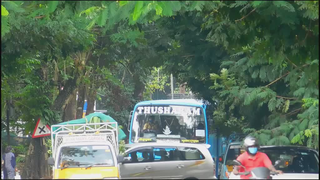 @tony kuttan kalathilpady
