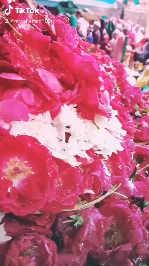 @@mr_ Ahmed _09