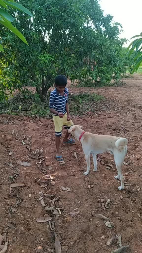 @தமிழ்💘