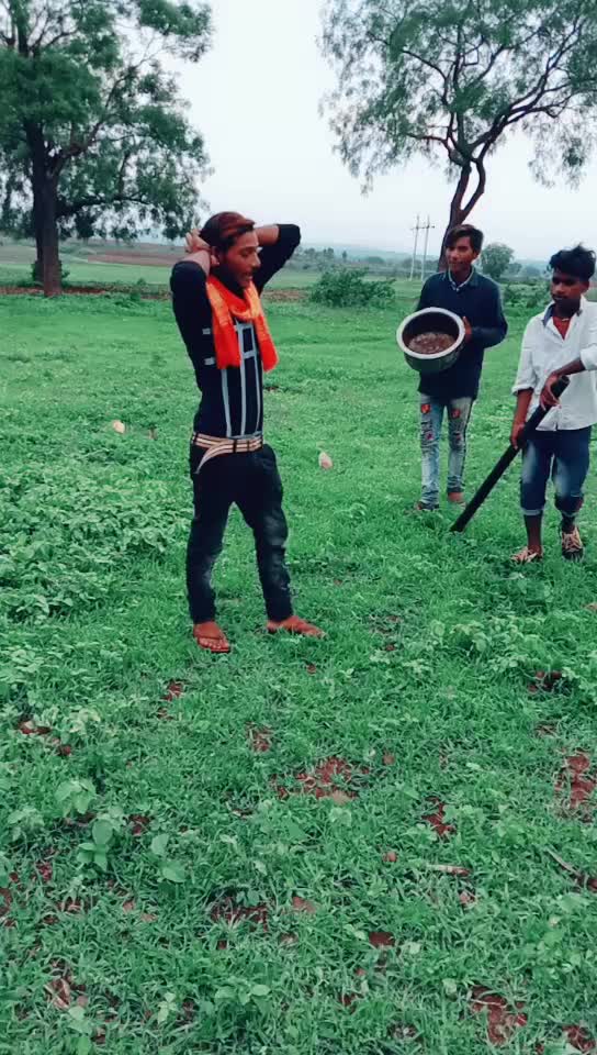 @banjara tigar