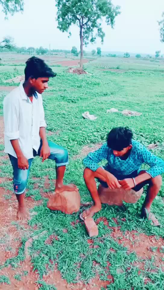 @banjara tigar