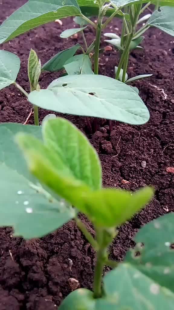 @Mr.Vaibhav gaikwad