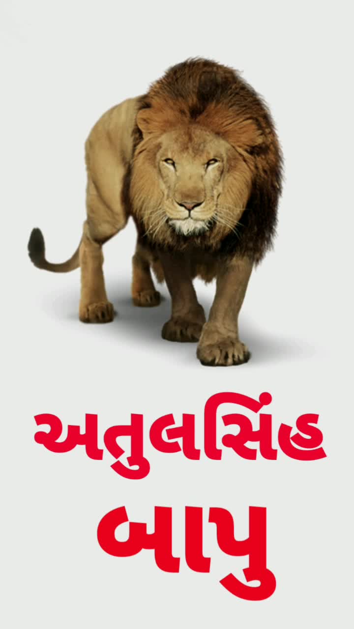 @vipulsinhvaghela