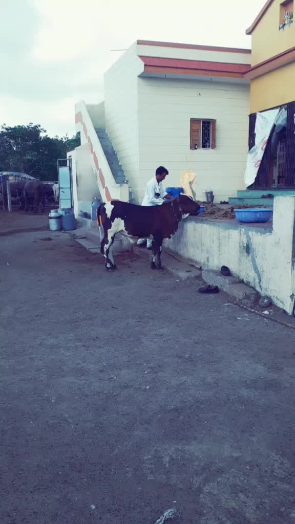 @દેપાલ ભાઇ વાલા