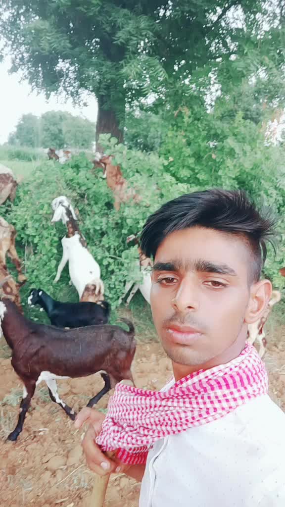 @अरविंद राम देवासी