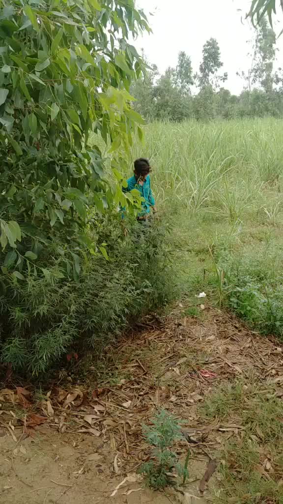 @Ahmed shaikh