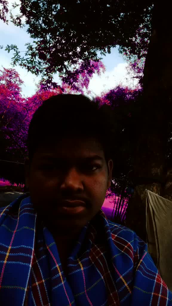 @Kanha Champia