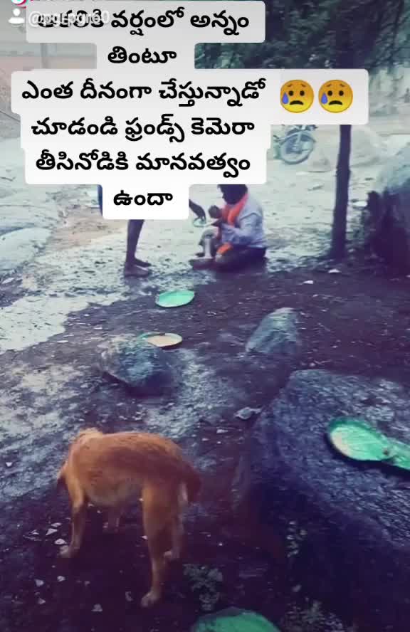 @@pgrv143