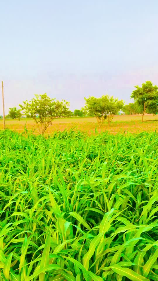 @Rajbir Suthar