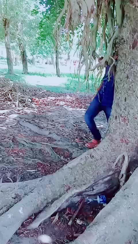 @kapina
