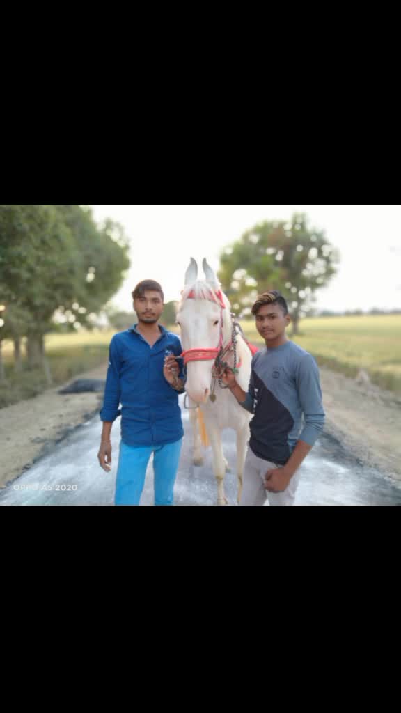 @M.K Vaishnav