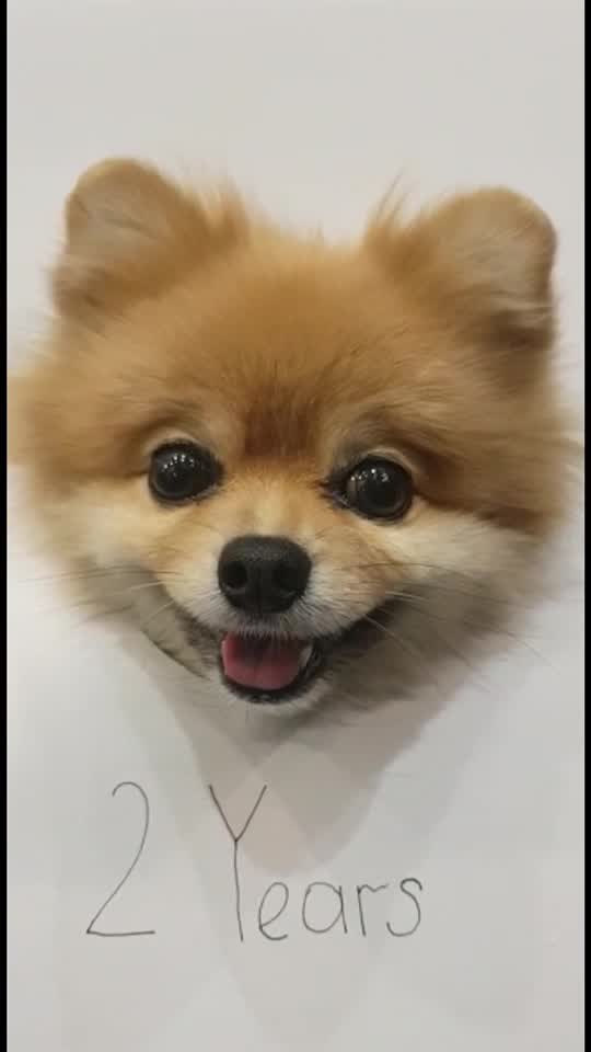 @busiya_cutie🐻&hearts;️