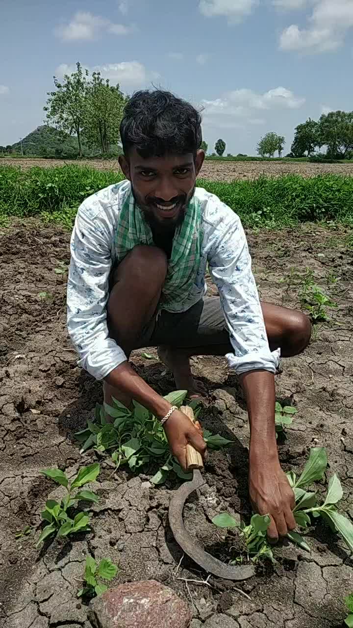 @Nagaraj Yadhav