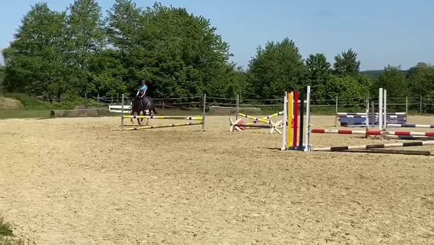 @Dressurpony🐴
