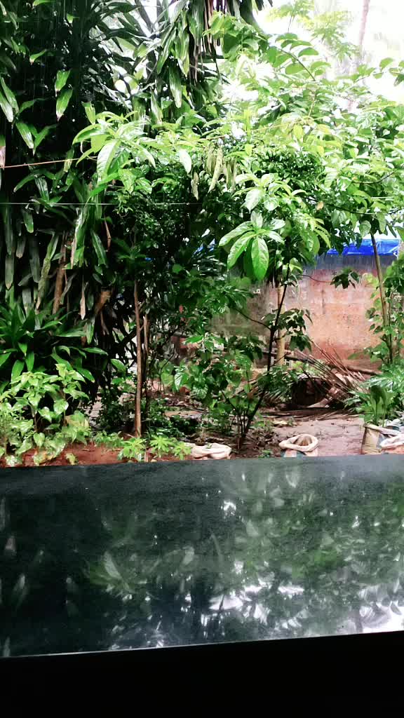 @haritha sudheesh
