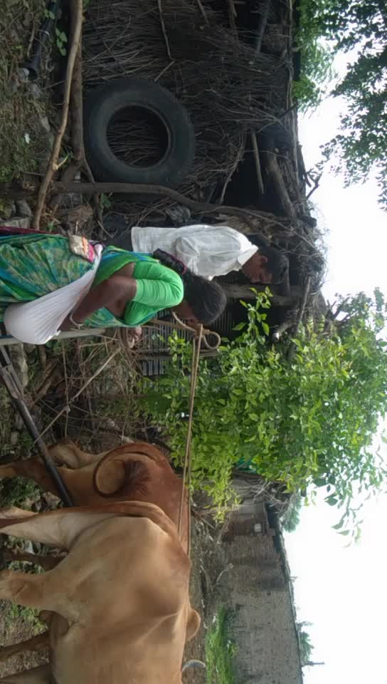 @Ashirwad Nawghare