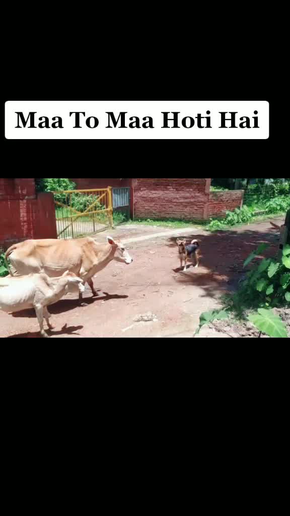 @SAURAV