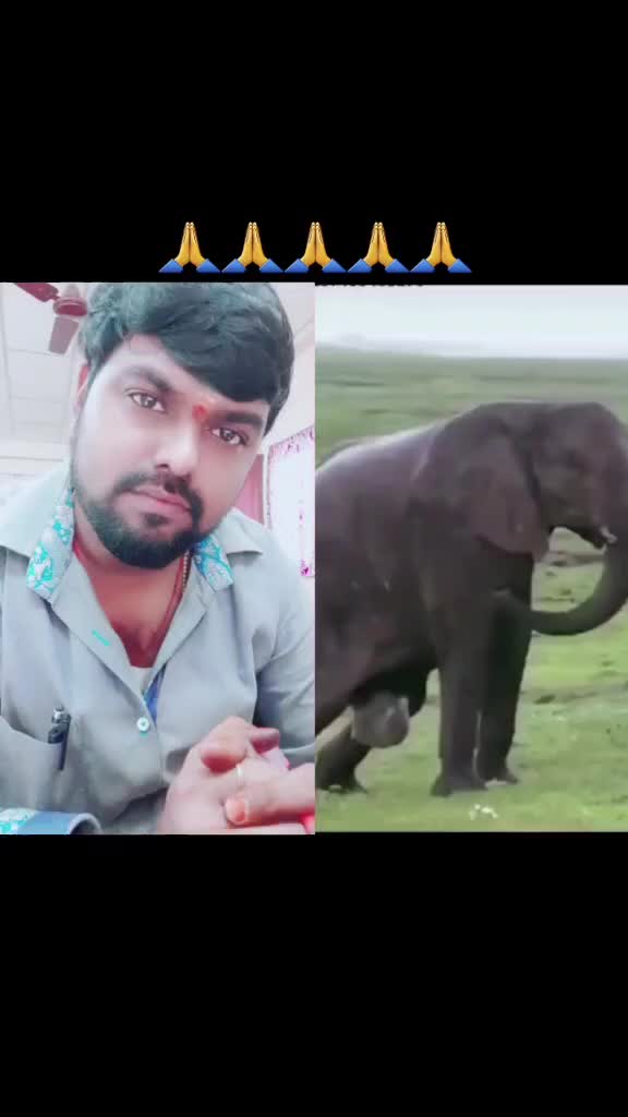 @satyakumar