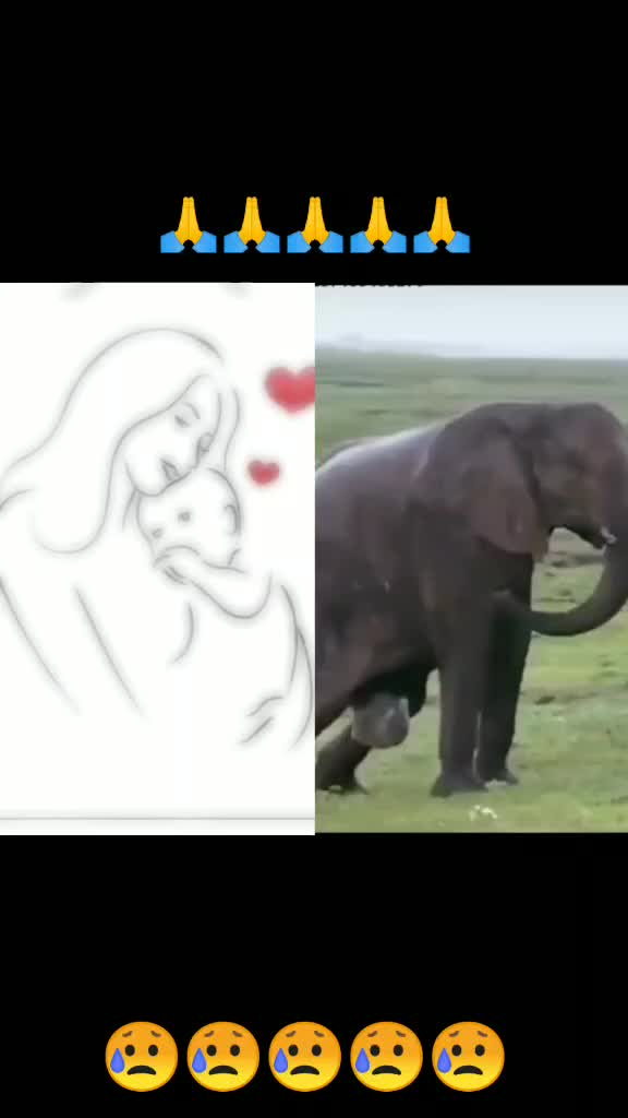 @@umasai123