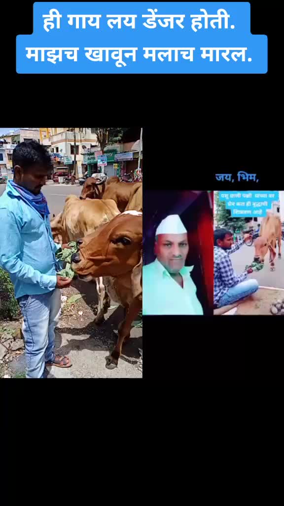 @prabhakarwaghmare15