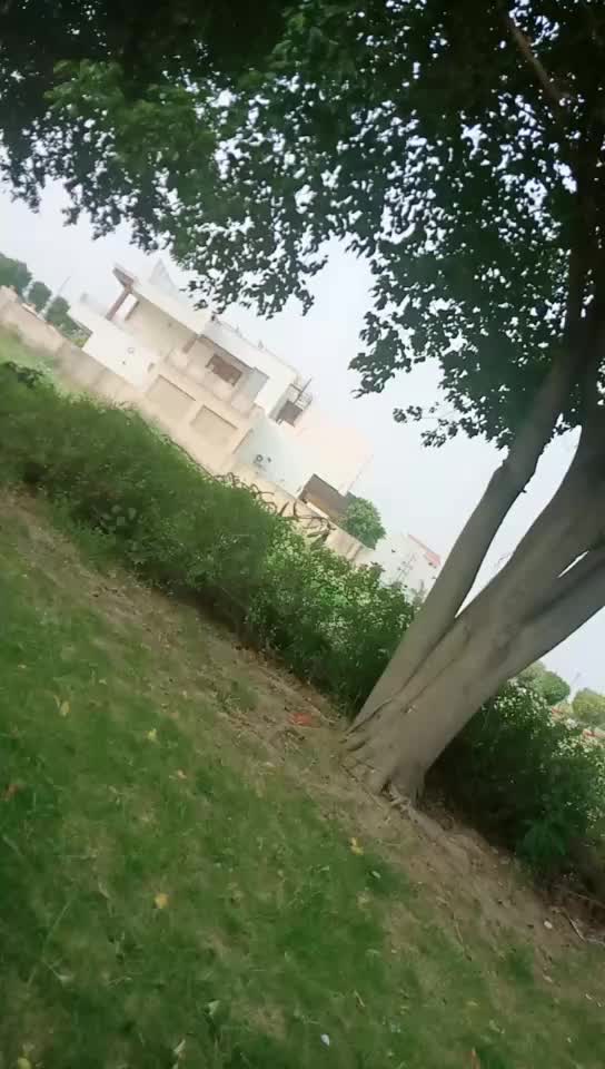 @Kashvi Thakur
