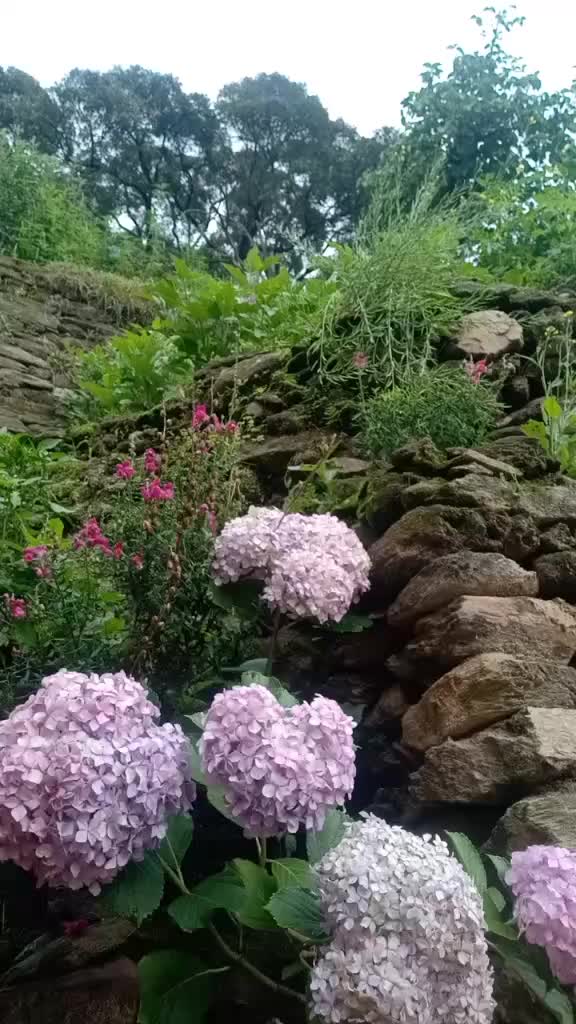 @user9105542090986