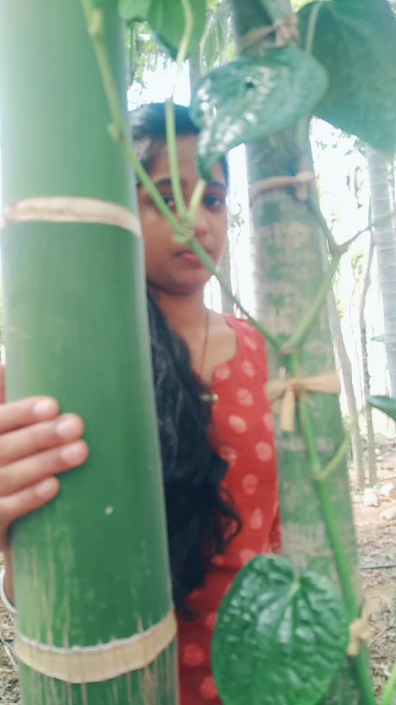 @Harshitha Harshi