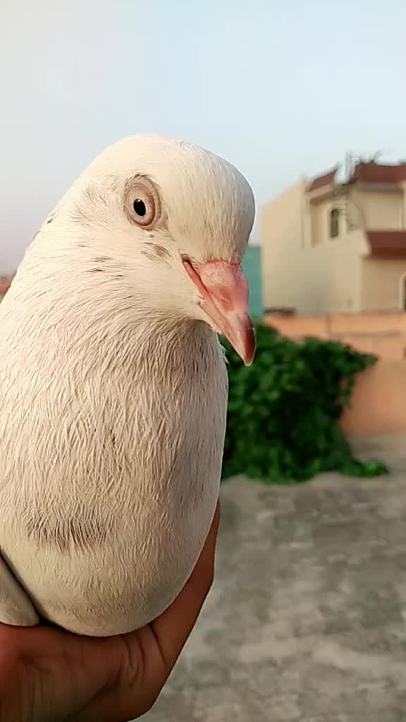 @user62700360440