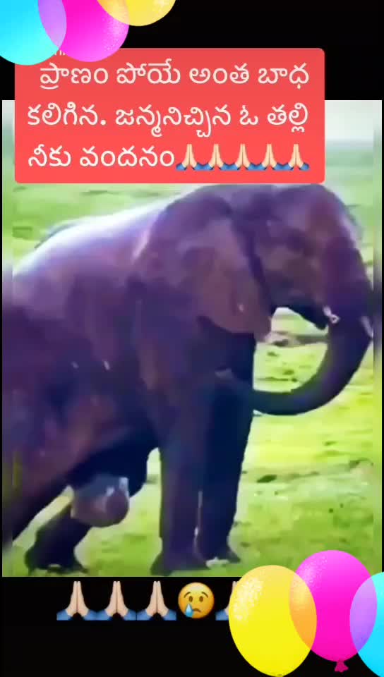 @Akepogu susantha
