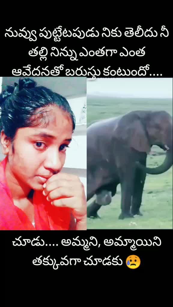 @@telanganaammaye